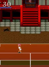 Smash Tennis