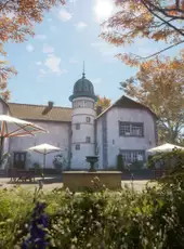 TheHunter: Call of the Wild - Salzwiesen Park