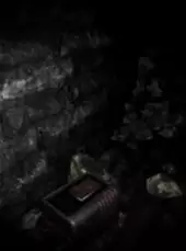 Insomnis Experiment