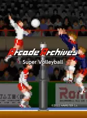 Arcade Archives: Super Volleyball