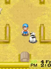 Harvest Moon: Friends of Mineral Town