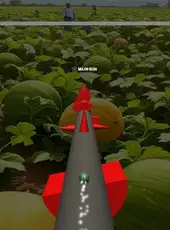 The Jumping Melon Rush 2