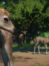 Planet Zoo: Asia Animal Pack
