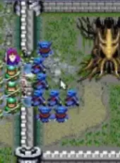 Wizards