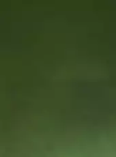 O.D.T.: Escape... ...Or Die Trying