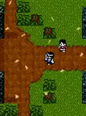 Dragon Warrior III