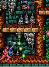 Arcade Archives: Castle of Dragon