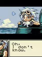 Dive Alert: Matt's Version