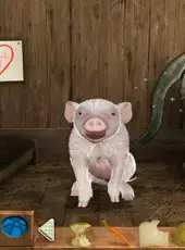 Charlotte's Web: Wilbur and Friends