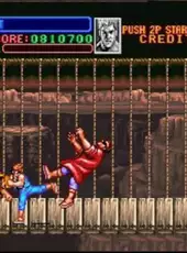 Super Double Dragon