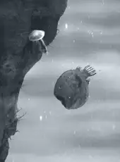 Tragedy of Prince Rupert