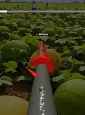 The Jumping Melon Rush 2