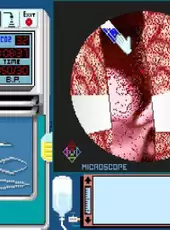 Life & Death II: The Brain