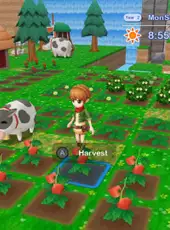 Natsume's Cozy Bundle