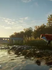 TheHunter: Call of the Wild - Salzwiesen Park