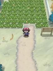 Pokémon Black Version