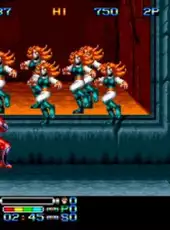 Ninja Combat