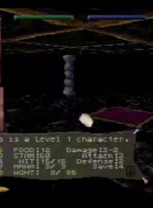 Towers II: Plight of the Stargazer