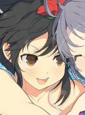 Senran Kagura: Peach Beach Splash