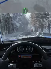 Dirt Rally