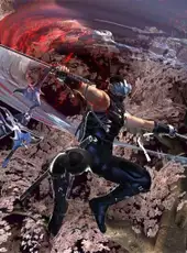 Ninja Gaiden II