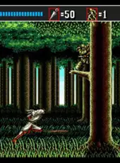 3D Shinobi III: Return of the Ninja Master