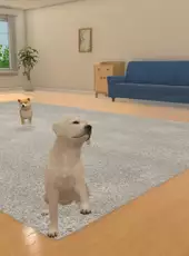 With My Buddy