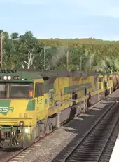 Trainz Railroad Simulator 2019: SSR Fletchers Crawfords GE C44aci Pack