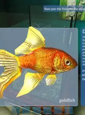 Aquarist