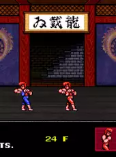 Double Dragon IV