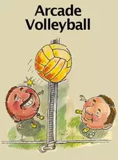 Arcade Volleyball