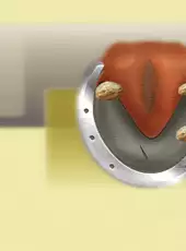 Rider's World: I Want to Ride!