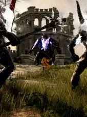 Shadow Arena
