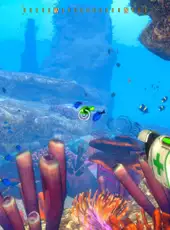 Deep Diving Adventures