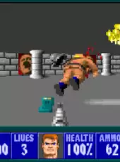 Wolfenstein 3D