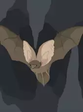 The Bat D