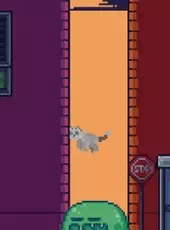 Rooftop Rascal: The Spooky Cat