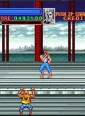 Super Double Dragon