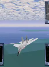 U.S. Navy Fighters