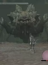 Shadow of the Colossus: Limited Edition