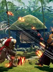 Samurai Shodown: Warden