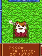 Tottoko Hamtaro: Tomodachi Daisaku Ikusa Dechu