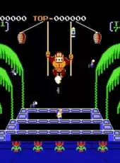 Donkey Kong 3