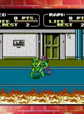 Teenage Mutant Ninja Turtles: The Cowabunga Collection