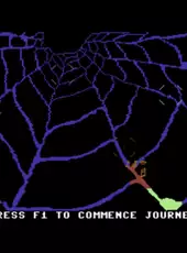 Web Dimension