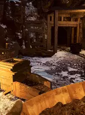Alaska Gold Fever