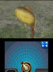 Reel Fishing Paradise 3D
