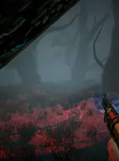 Nevrosa: Spider Song