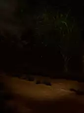 Great Toilet Simulator