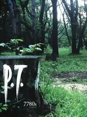 P.T.